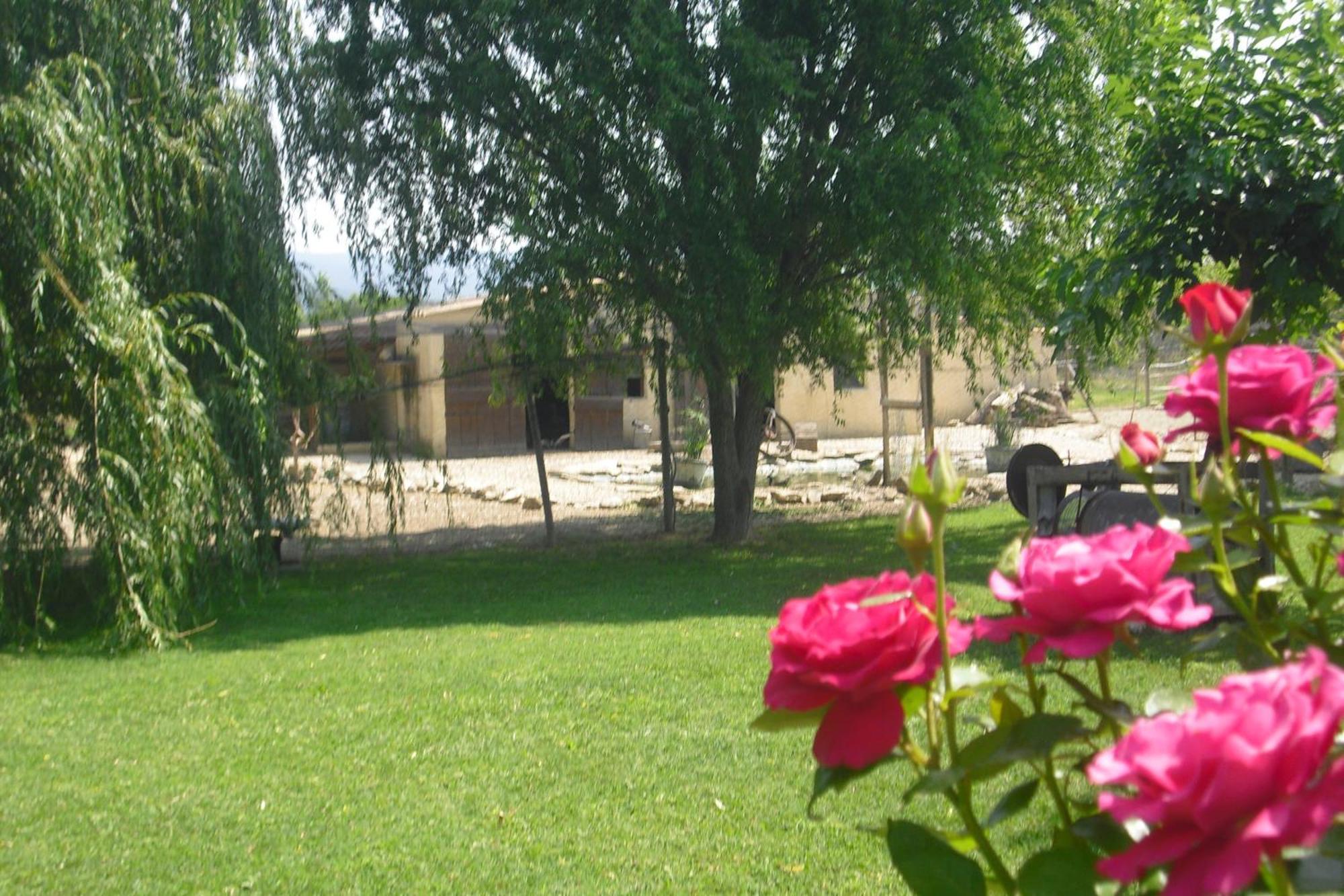 Apartamento Lou Mas Li Pitchoun "La Melonniere" Gordes Exterior foto